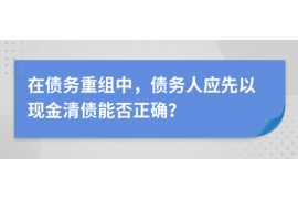 景德镇景德镇的要账公司在催收过程中的策略和技巧有哪些？